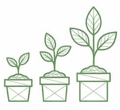 Grow Icon