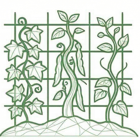 Program Design